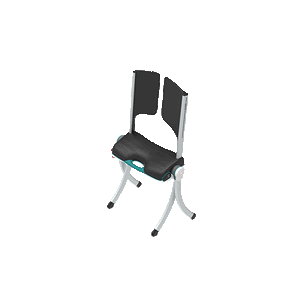 Raizer® II Lifting Chair (latest model Raizer)